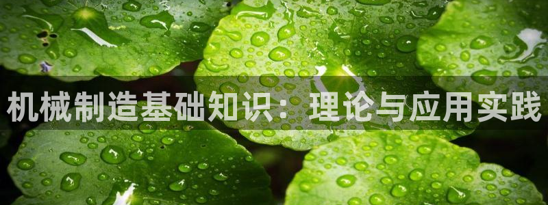 云顶国际官方网站下载安装