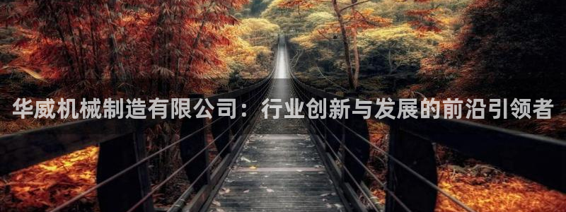 云顶国际服是哪个服
