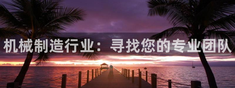 云顶国际app免费下载安装