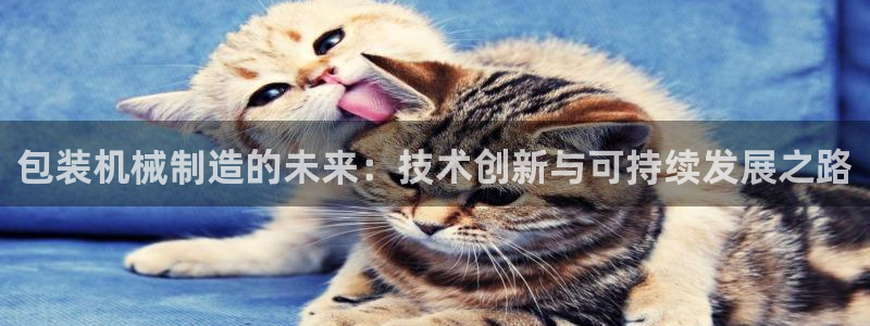 云顶国际服加速器