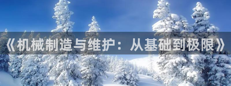云顶控股集团有限公司