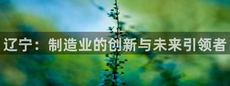 云顶国际物业电话