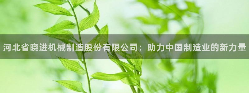 云顶国际服更新时间是多久