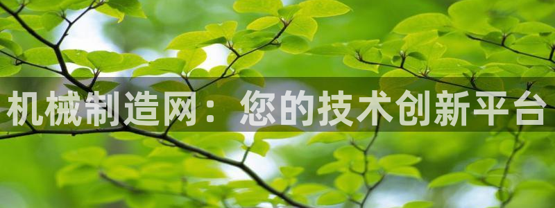 云顶国际服s9什么时候更新的