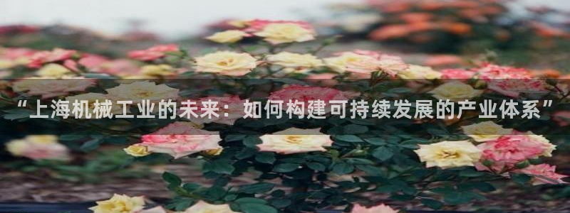 云顶国际集团官网网址