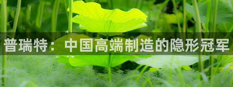 云顶国际被黑