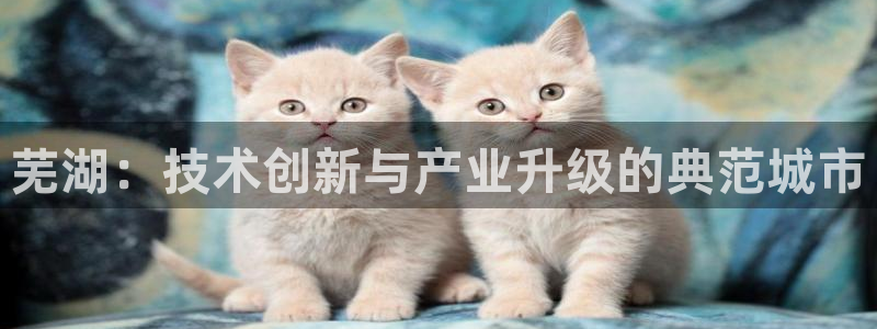 云顶国际酒店怎么样
