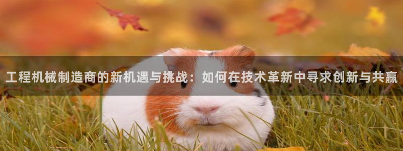 云顶国际提款不到账