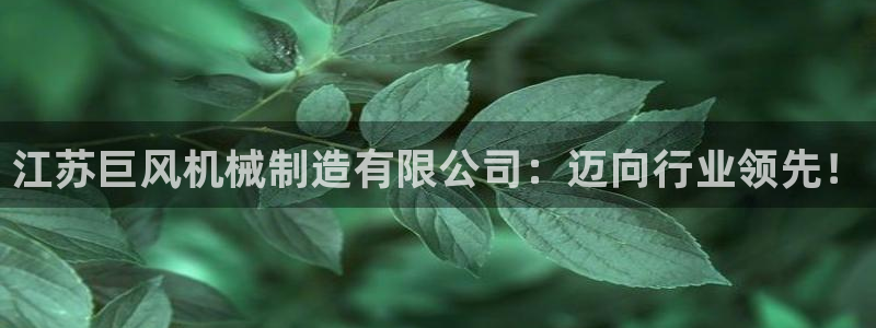 云顶国际app官方下载安装
