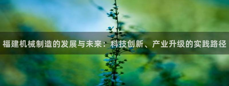 云顶国际平台游戏可靠吗
