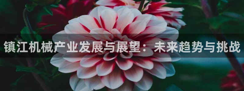 云顶dl