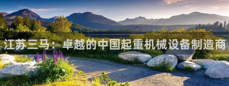 云顶集团网投领头