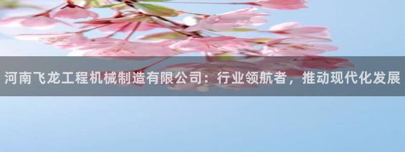 云顶国际服账号
