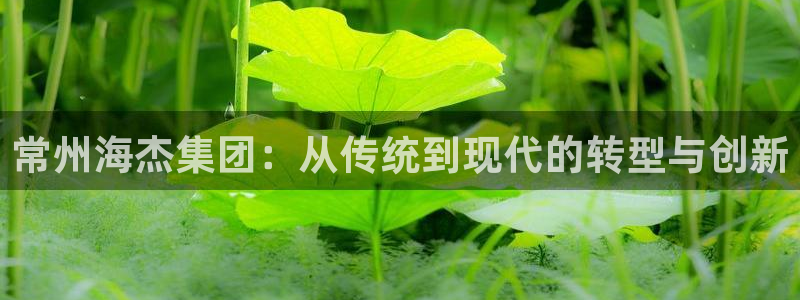 云顶集团app安卓版下载安装