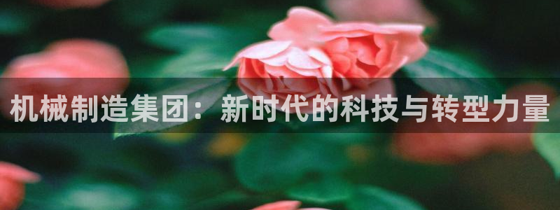 云顶国际服什么时候更新s9