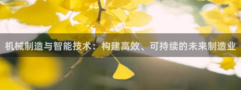 云顶国际集团app