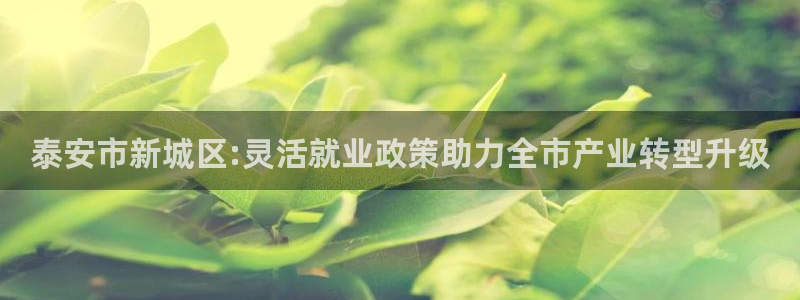 云顶集团高管
