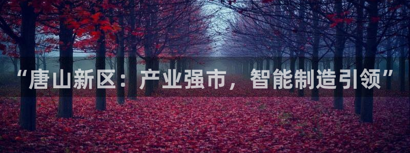 国际服端游云顶在哪下载