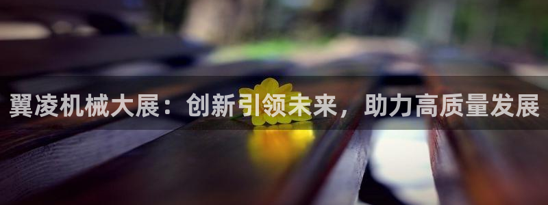 云顶国际邮轮公司