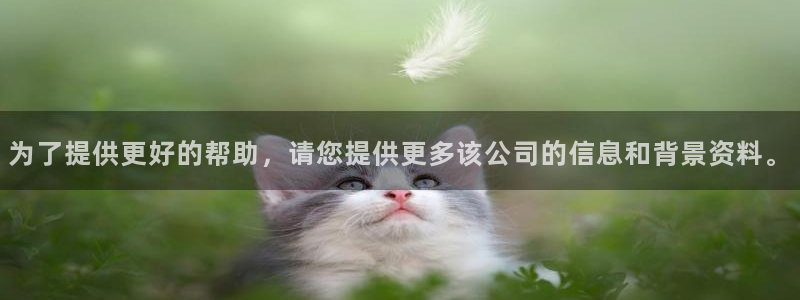 云顶400