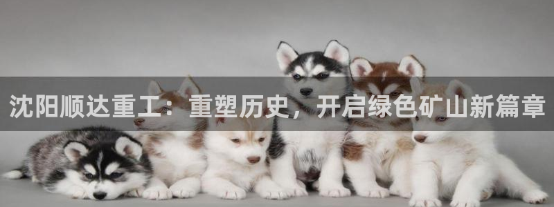 云顶国际调酒培训怎么样