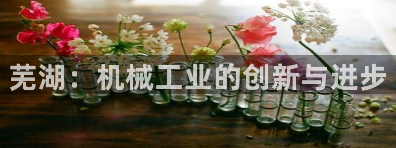 云顶集团公司董事长是谁