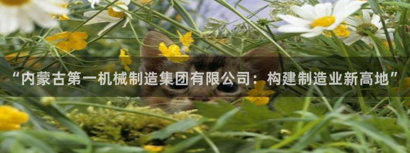 云顶国际服服务端错误