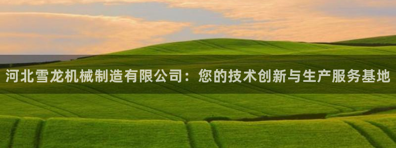 云顶国际服s10