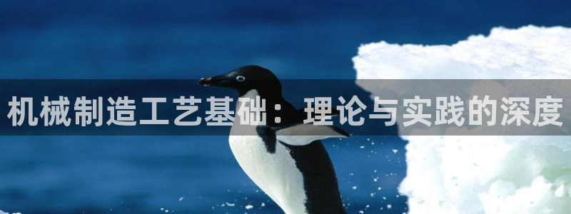 云顶国际公馆在哪个街道
