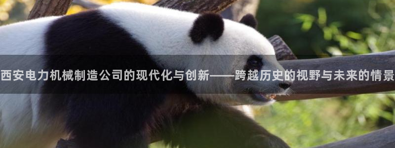 云顶集团专属app