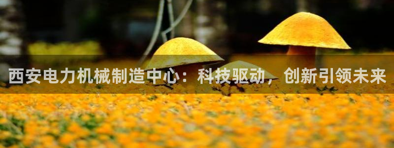 云顶国际牡丹会是什么