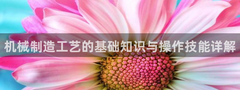 云顶国际怎么才能提现