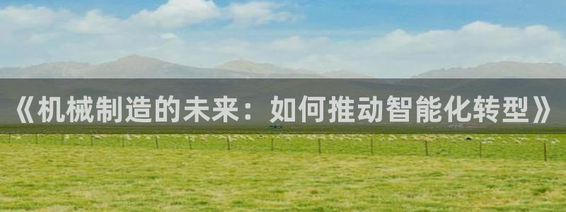 云顶集团简介资料