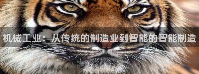 云顶国际官网下载安装