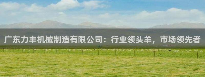 云顶集团有限公司简介电话