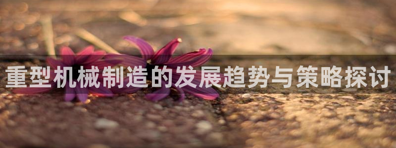 云顶国际app免费下载安装