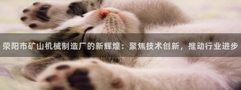 云顶集团 中国排名第几