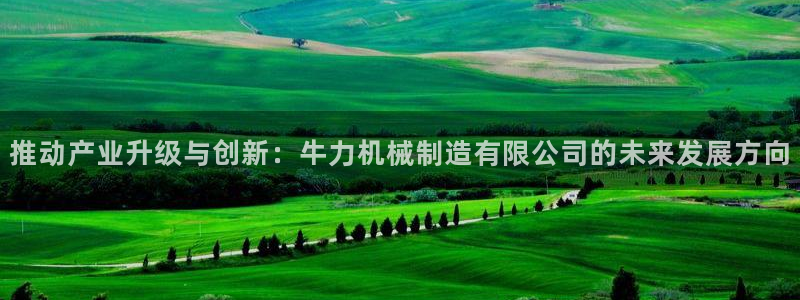 云顶2021