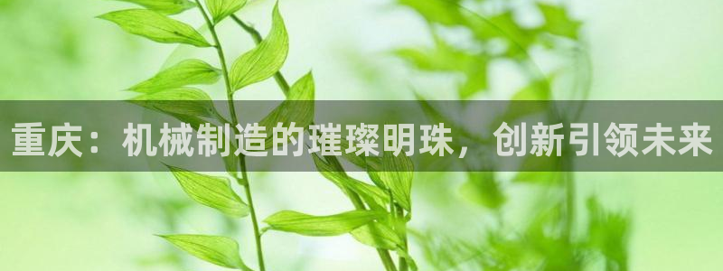 云顶国际版