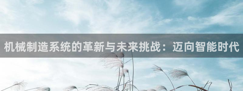 云顶集团董事长林东简历图片