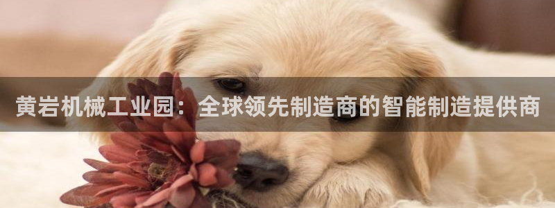云顶国际麻将胡了多少张牌