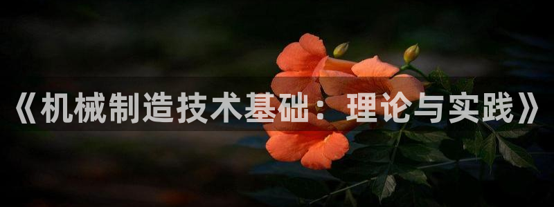 云顶集团3118官网