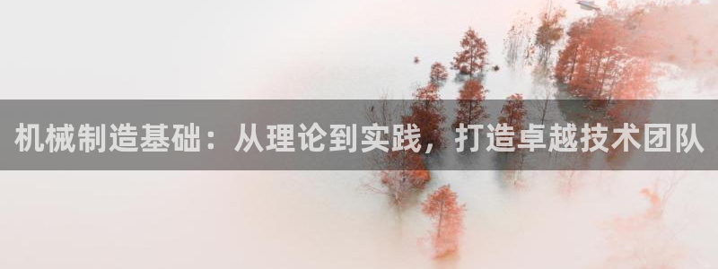 手游云顶国际服下载