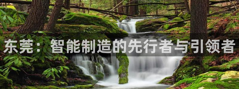 云顶国际服和端游互通吗
