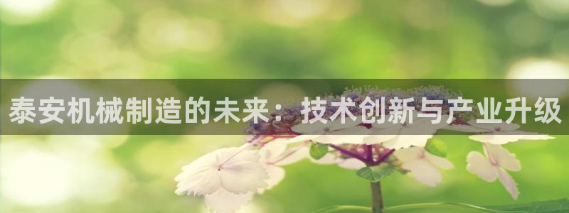云顶网站官网