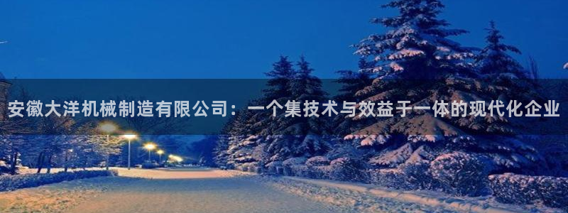 云顶国际酒店老板