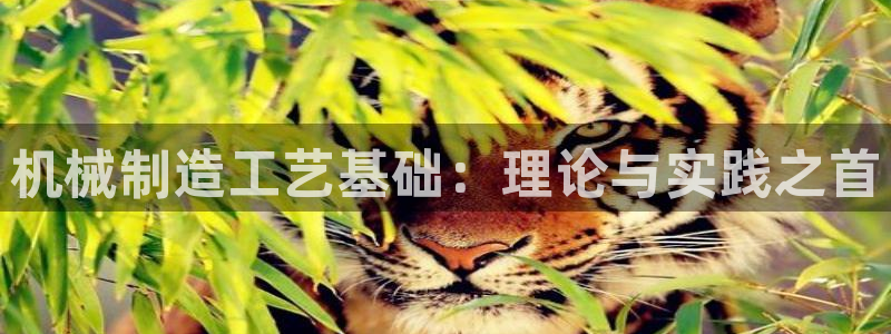 云顶国际网上平台是假的吗?
