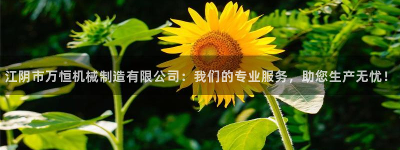 云顶国际晟荣协会会长是谁