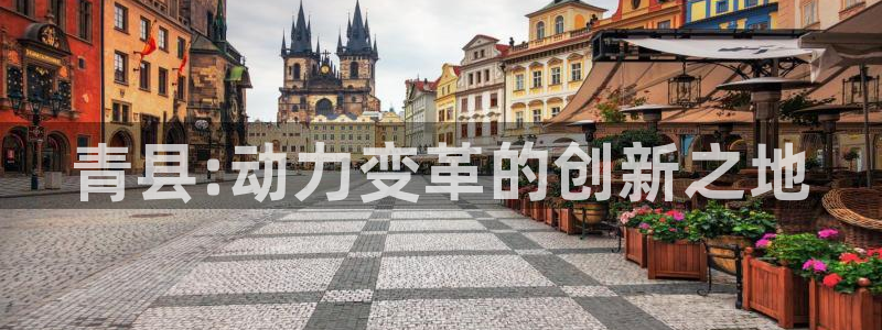 云顶国际培训中心电话