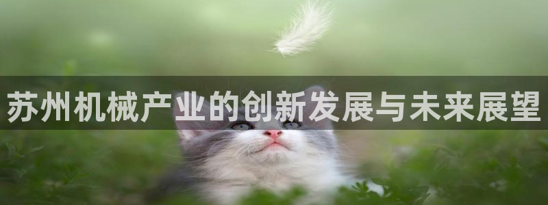 云顶网上官网